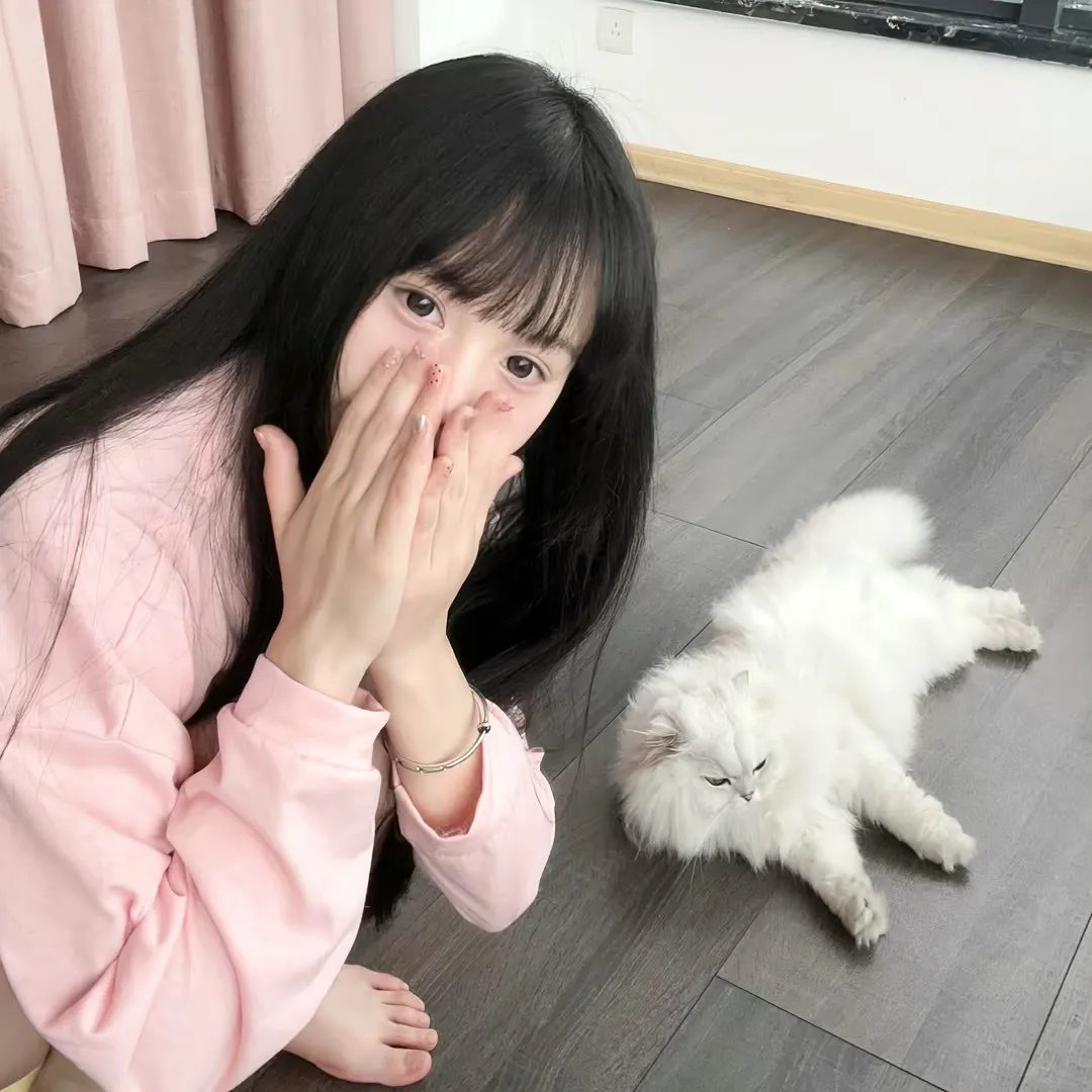 梅珍